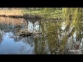 Frühling im Schloßpark Charlottenburg