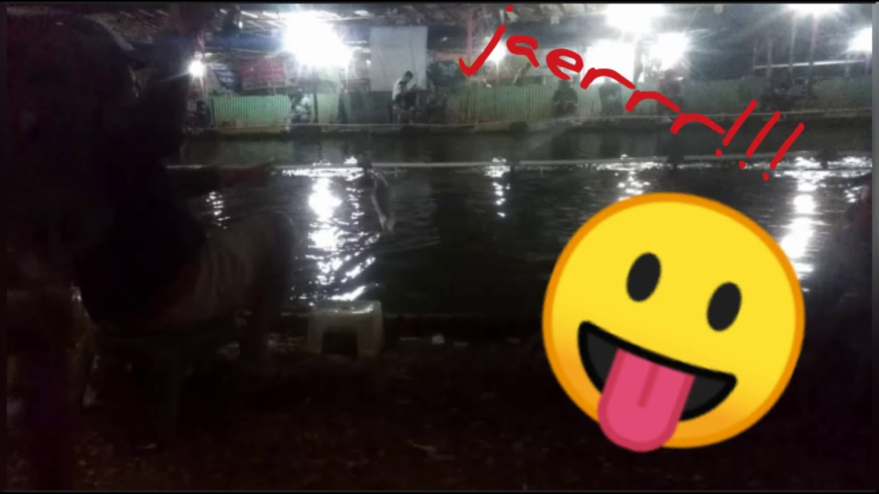 Mancing bawal malam hari