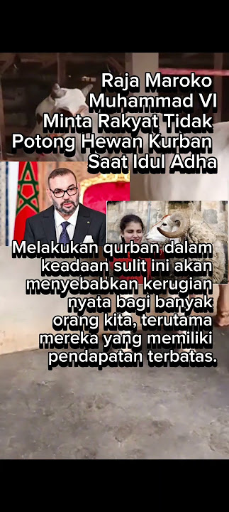 Ternyata ini alasan raja Maroko melarang Qurban warganya #trending #qurban #maroko #info #news