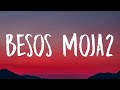 Wisin Yandel ROSALÍA Besos Moja2 Letra Lyrics 1 Hour