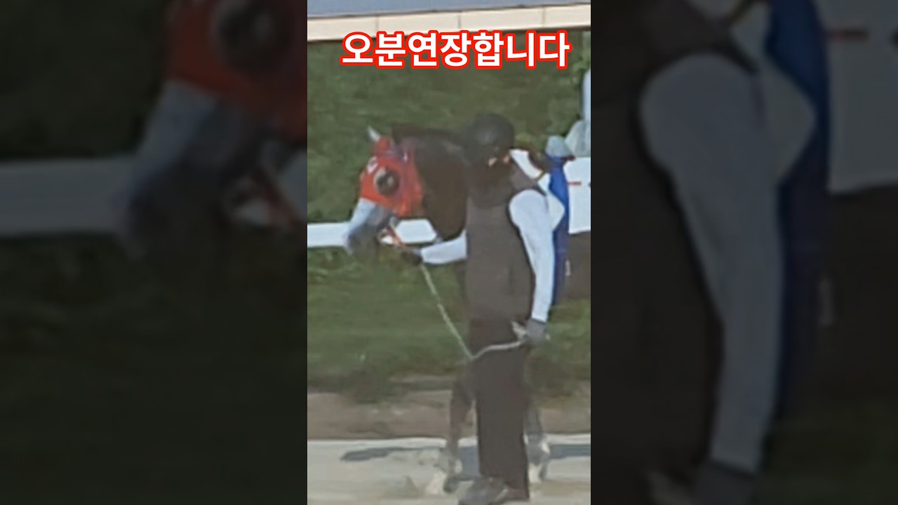 내마권 취소된줄 모르고 버렸네!#경마 #말 #달려라말 #shorts
