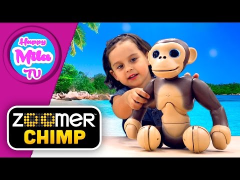 ZOOMER