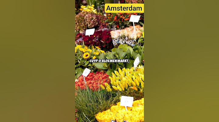 "Conoces esto de esta increíble Ciudad: Amsterdam"🤔 🌏 🗺️
