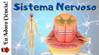 Sistema nervoso central (Difícil) Jogo do Sistema nervoso. Como é que se  chama? - Jogos de Ciências Naturais