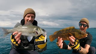 LETS GO FISHING | SHORE FISHING WITH LURES | BASS & WRASSE
