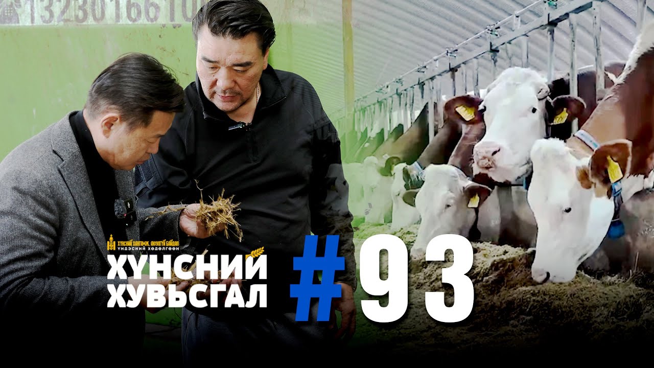 №93 I ХҮНСНИЙ ХУВЬСГАЛ-ХАРҮМАФҮЖИ СҮҮНИЙ ФЕРМ