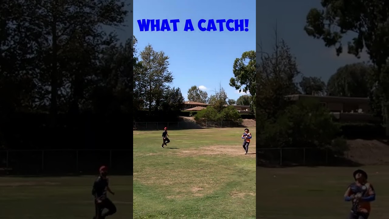 What a Catch | GoPro Cricket Highlights |