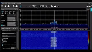 RTL SDR Waterfall Demo Net Worth