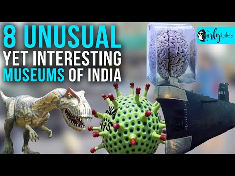 8 Unusual Yet Interesting Museums Of India | Curly Tales