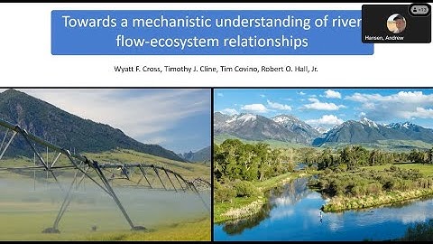 Toward a mechanistic understanding of river flow-ecosystem relationship
