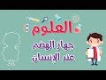 العلوم | جهاز الهضم عند الإنسان