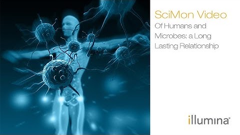 Of Humans and Microbes: a Long Lasting Relationship