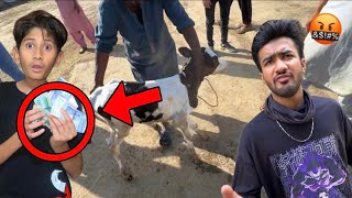 Baby Cow Ko Mandi me Sell krdia!Prank on my Friend!