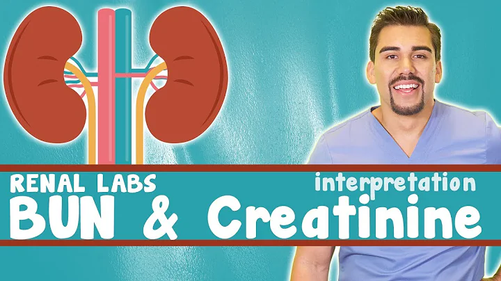 Renal Labs, BUN & Creatinine Interpretation for Nurses