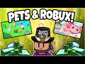 NEW YEARS EVE PET &amp; ROBUX Giveaway 🎇 Pet Sim X &amp; Adopt Me + ROBUX 💵