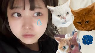 いろんな奴らにさよなら