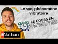 Le son phnomne vibratoire  enseignement scientifique  premire