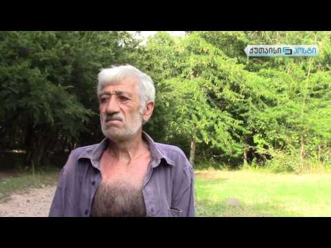 ამორტიზებული გზა მუხნარის დასახლებაში