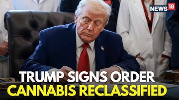 LIVE | Trump Signs Executive Order to Reclassify Marijuana In US Drug Schedules | Trump News | N18G