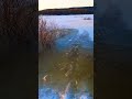 Вода ещё прибыла. Река Ока. Бунырево 06.01.2023