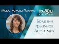 Болезни грызунов. Анатомия. Маратканова Полина #убвк_экзотические_животные