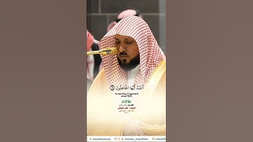 الله خالق كل شيء_ تلاوة مرئية من صلاة العشاء 28 جماد الأول 1446هـ_فضيلة الشيخ د.  ماهر المعيقلي