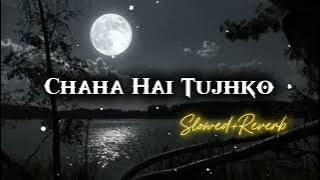 Chaha Hai Tujhko |Sad Song | Slowed Reverb | #sadsong #hindisong #90s #uditnarayan