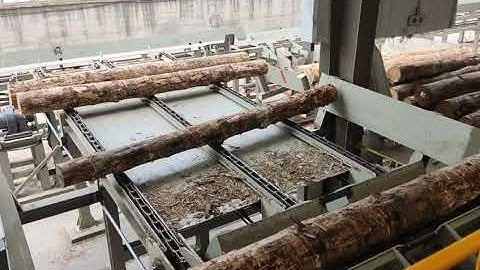 Log debarking and sorting line