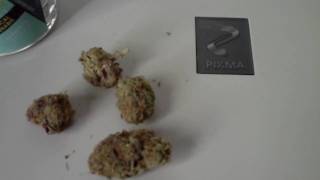 new club strain... Blurple quick review