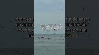 Amo la mujer que no está de antro en antro #mujeres #valores #amor