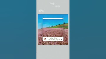 Hà Giang - Vùng đất địa đầu, nơi núi non hùng vĩ, mây trời giao hòa ⛰️☁️