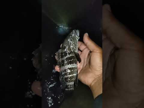 اتقي الله و اتركها تكبر يمكن ربك يرزقك بيها بعدين أو تكون من نصيب حد تاني وتاخد ثواب