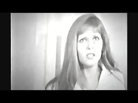 جوونیای فردین دیدن داره