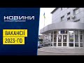 Кого найбільше потребував ринок праці у 2023