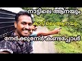 KSRTC Trip_Malakkappara_Valparai_Aliyar View Point