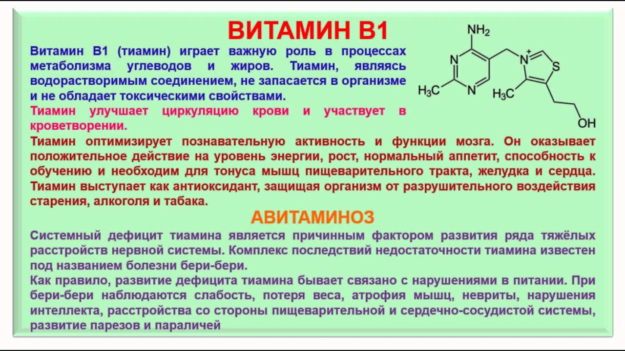 На что влияет б 1. Витамин b1 тиамин функции. Витамин в1 биохимия функции. Витамин б1 тиамин. Функции витамина б1 тиамина.