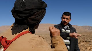 Meet the Amazigh Nomads Fighting Climate Change in Morocco