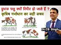 गाय भैंस में कृत्रिम गर्भाधान का सही समय-Artificial Insemination of Cow | Dairy Ustaad | Dr CB Singh