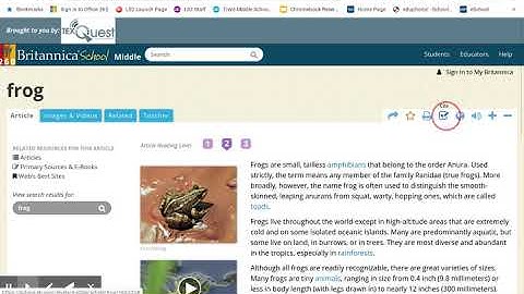 Copy/Paste Citation into MyBib