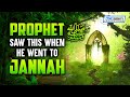 Prophet  saw this when he went to jannah