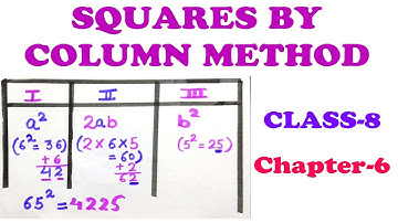 Squares by Column Method||Class 8 NCERT Solutions|| CHAPTER 6|| SQUARE AND SQUARE ROOTS || CBSE