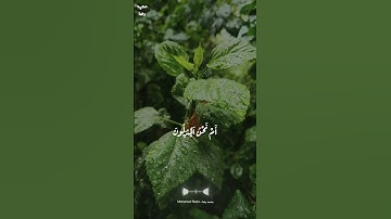 المنشاوي يبدع فى تلاوة  أَفَرَءَيۡتُمُ ٱلۡمَآءَ ٱلَّذِي تَشۡرَبُونَ