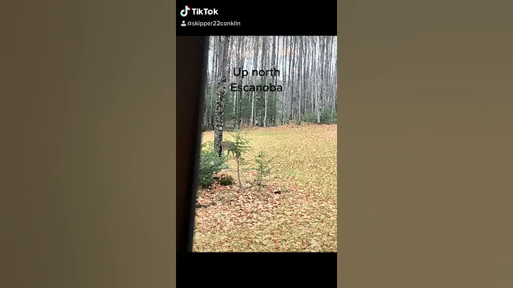 Up north hunting