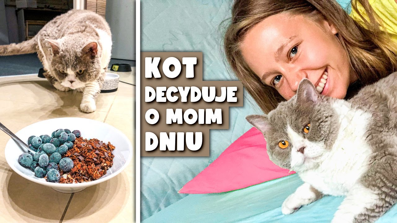 MÓJ KOT DECYDUJE O MOIM DNIU!