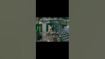 #قرآن #محمد_صديق_المنشاوي #قران_بصوت_جميل #المنشاوي_الباكي #المنشاوي_الصوت_الباكى #سورة_القصص #1000k