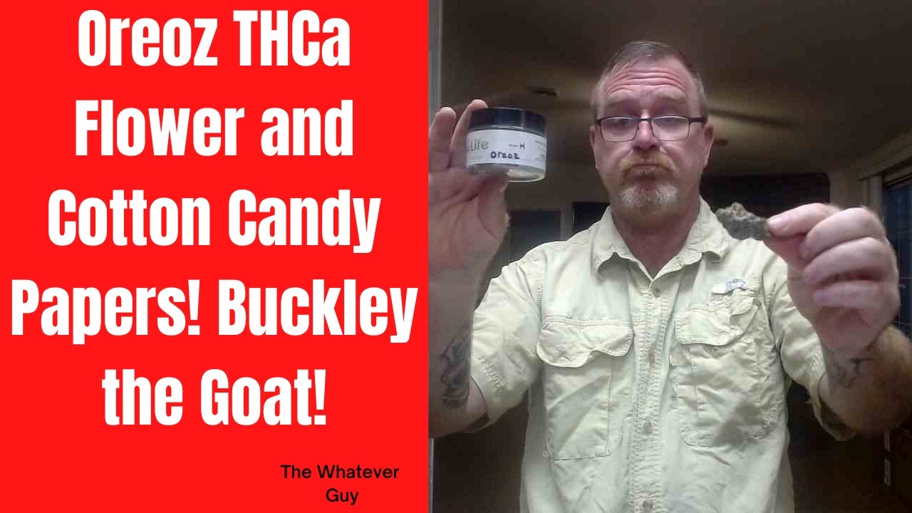 Oreoz THCa Flower and Cotton Candy Papers! Buckley the Goat!