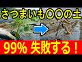 さつまいもに「この土」を使うと99%失敗する｜初心者が必ずハマる落とし穴と正しい土作り