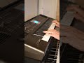 Ein Stern - A Short Version Of The Famous Party Song - Roland BK-3 Keyboard #rolandbk3