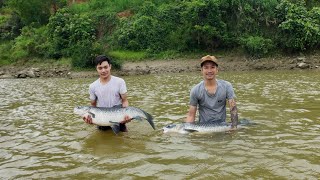 Hunt for strange fish in the flowing rive