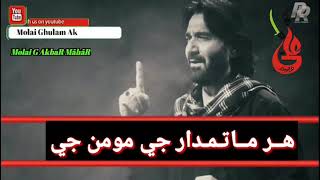 Hussain Jo Gum Dey Mola Nadeem Sarwar Sindhi Noha Stutas